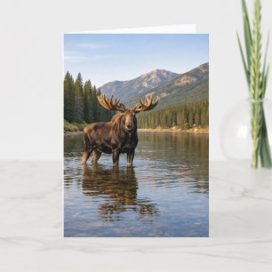 Wildlife Moose Mountain River Card