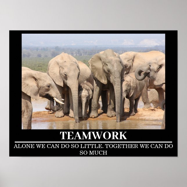 Wildlife Motivational Posters Elephant Teamwork (Front)