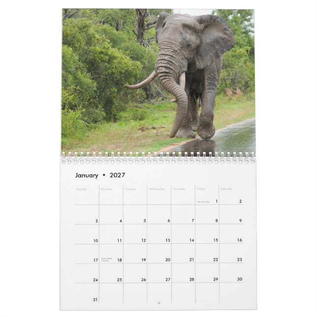 Wildlife of South Africa Calendar (Jan 2027)
