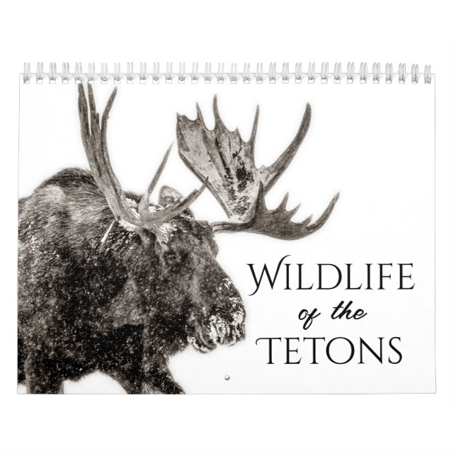 Wildlife Of The Tetons Calendar (Cover)