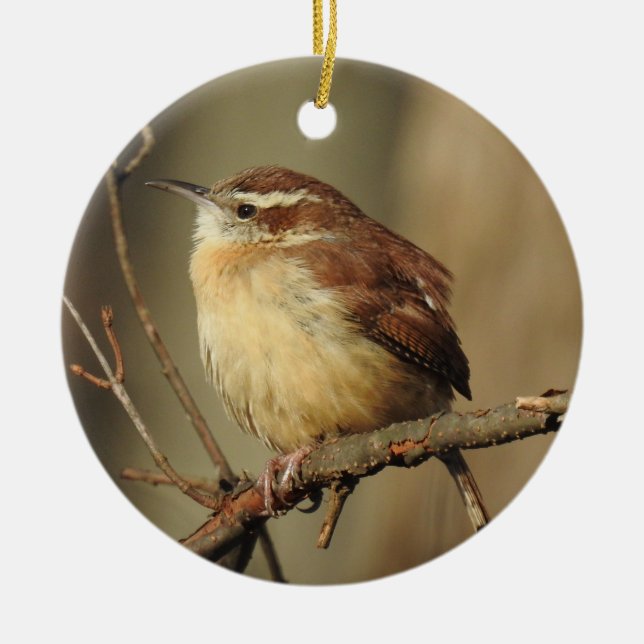 Wildlife ornament,  ceramic tree decoration (Front)