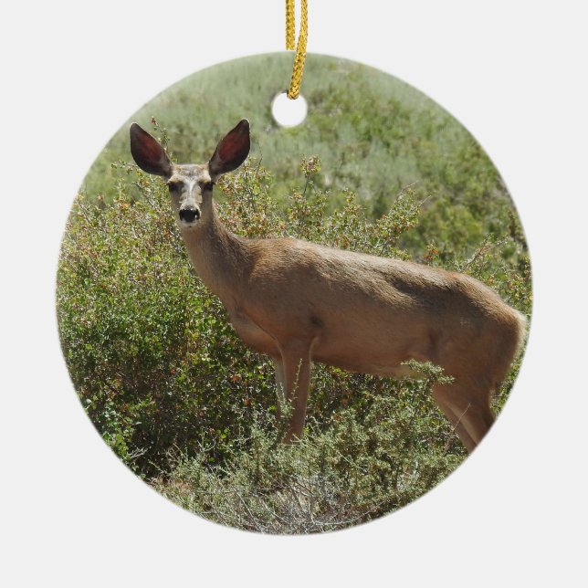 Wildlife ornament, mule deer, doe, nature, animals ceramic tree decoration (Front)