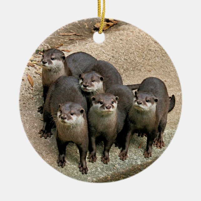 Wildlife Otters Christmas Ornament (Front)