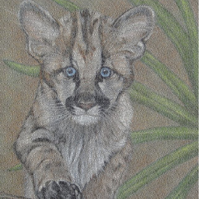 wildlife painting of big cat cougar kitten watch (Creator Uploaded)
