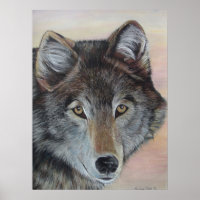 wildlife painting of grey wolf