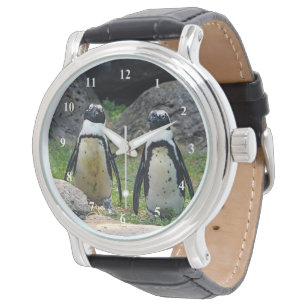 Wildlife Penguin Pair Photo Watch