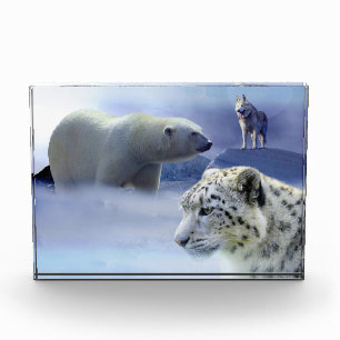 Wildlife Photo Block