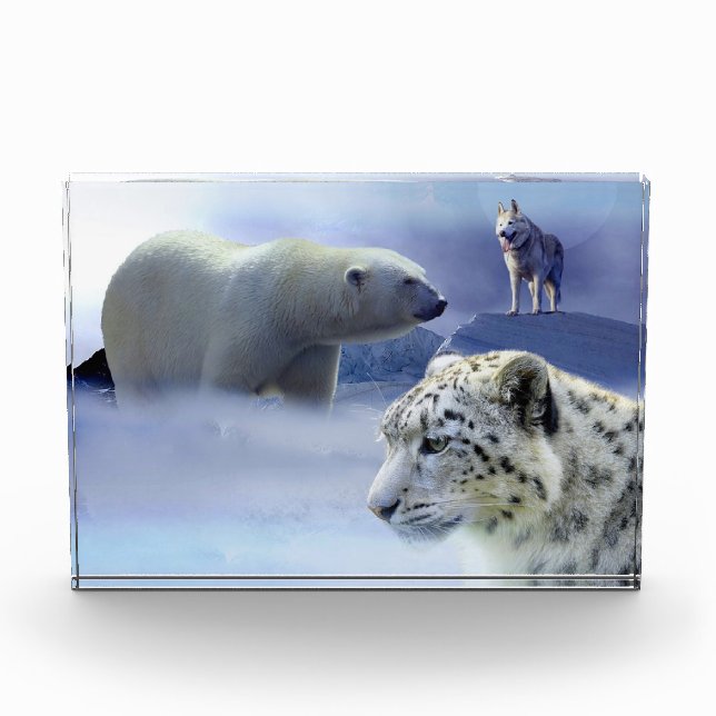 Wildlife Photo Block (Front)