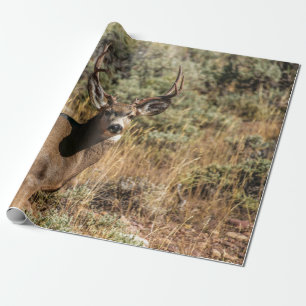 WILDLIFE PHOTOGRAPHY OF BROWN BUCK WRAPPING PAPER