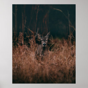 WILDLIFE PHOTOGRAPHY OF GRAY DEER SURROUNDED BY GR POSTER