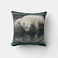 Wildlife Photography Polar Bear