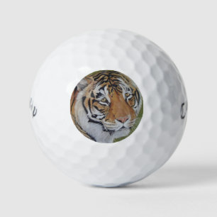 wildlife picture of big cat tiger golf balls