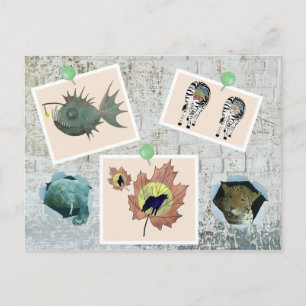 Wildlife Postcard