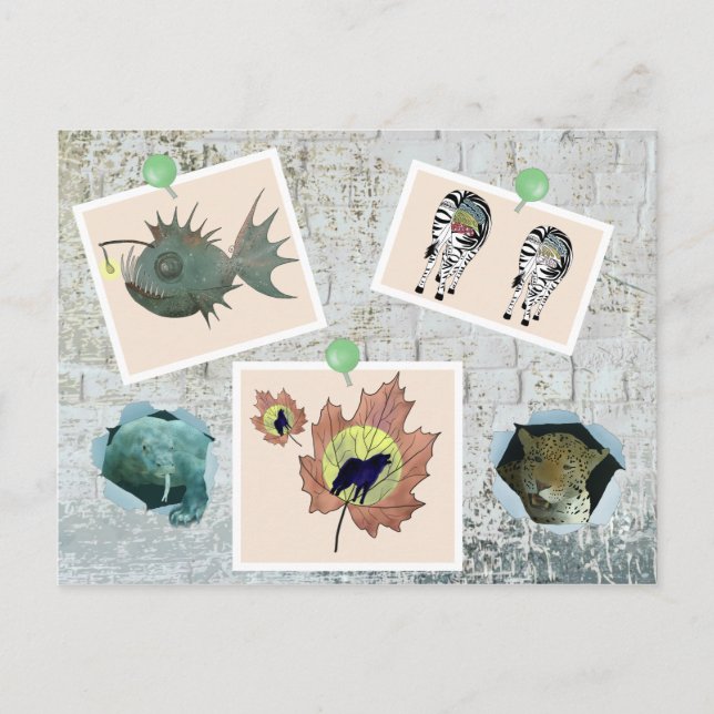 Wildlife Postcard (Front)