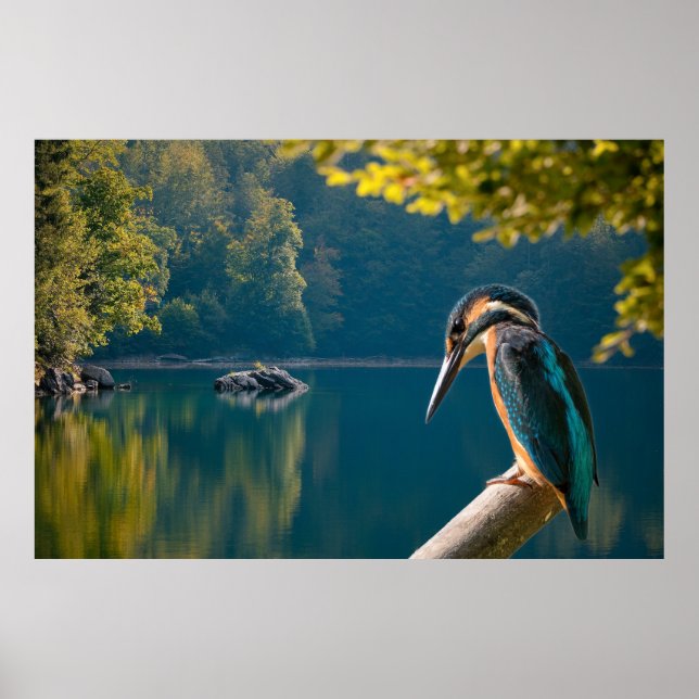 Wildlife Poster (Front)