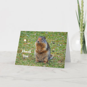Wildlife Prairie Dog Mammal Photo Thank You Card