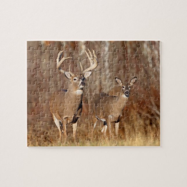Wildlife Puzzle-Deer Jigsaw Puzzle (Horizontal)