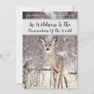Wildlife Quote Woodland Deer Snow Winter Holiday Card