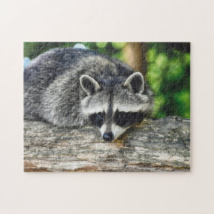 Wildlife Raccoon Log Mammal Photo Jigsaw Puzzle