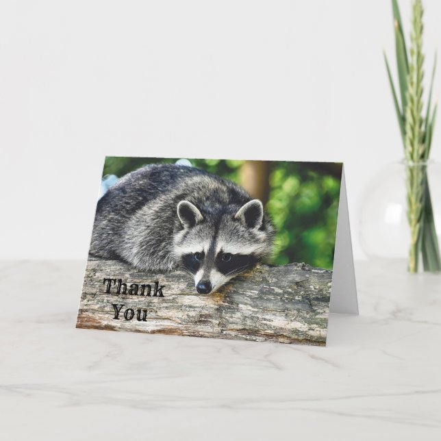 Wildlife Raccoon Log Mammal Photo Thank You Card (Front)