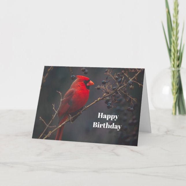 Wildlife Red Cardinal Birthday Card (Front)
