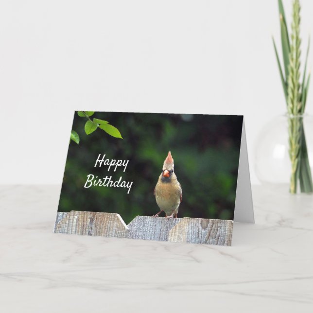 Wildlife Red Cardinal Fence Birthday Card (Front)