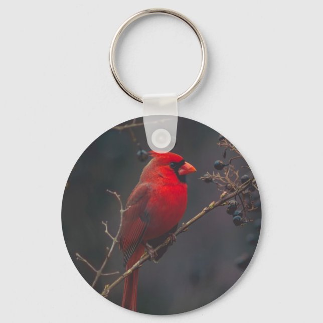 Wildlife Red Cardinal Photo Key Ring (Front)