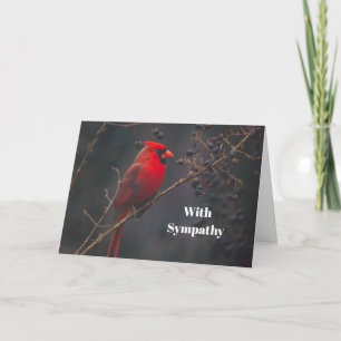 Wildlife Red Cardinal Photo Sympathy Card