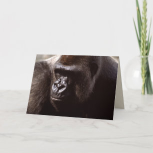 Wildlife Set - Primates 13 Card