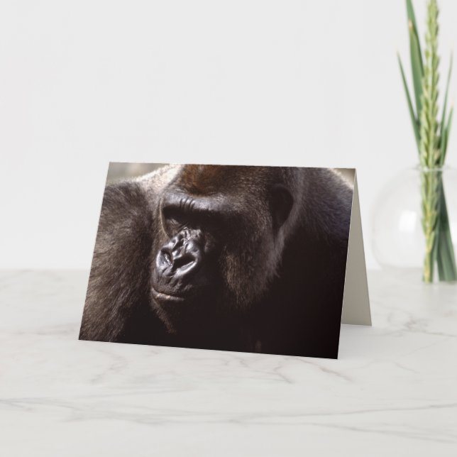 Wildlife Set - Primates 13 Card (Front)