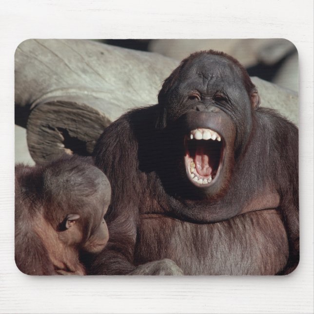 Wildlife Set - Primates 1 Mouse Pad (Front)