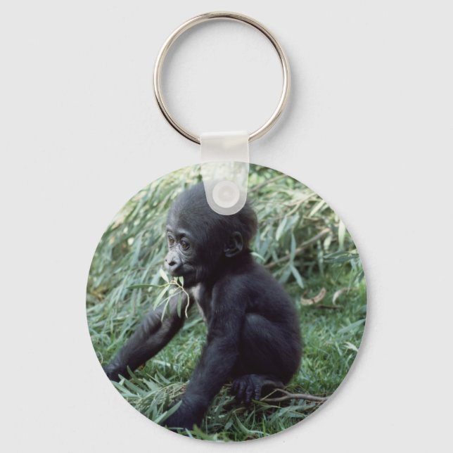Wildlife Set - Primates 8 Key Ring (Front)