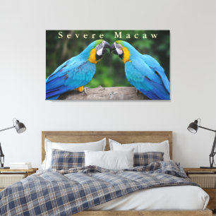 Wildlife Severe Macaw Sitting on a Branch Canvas Print