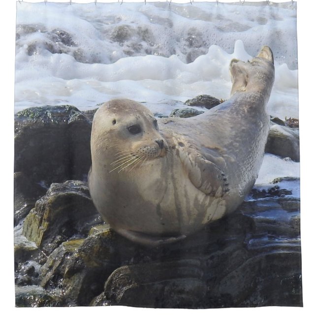 Wildlife shower curtain, harbour seal, marine life curtain (Front)