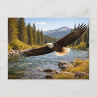 Wildlife Soaring Bald Eagle
