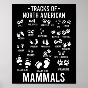 Wildlife Tracks Of North American Mammals - Gift F Poster