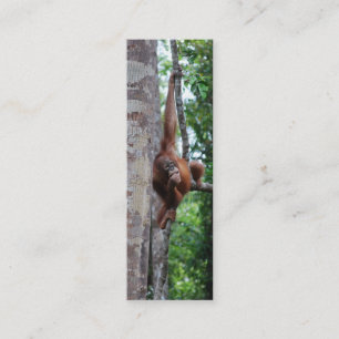 Wildlife Tree Hugger Mini Bookmarks Mini Business Card