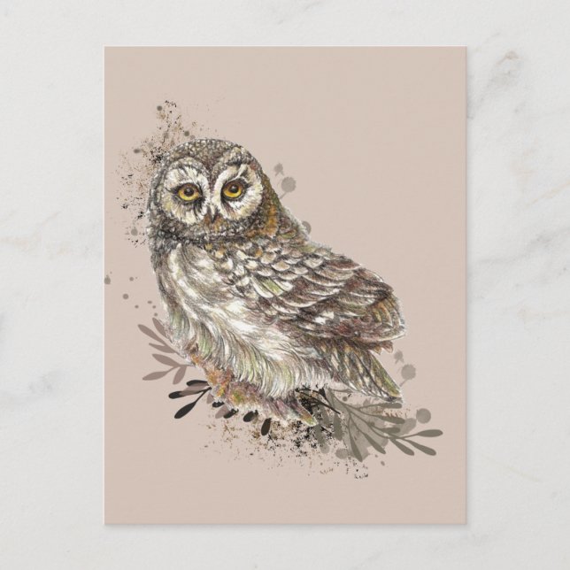 Wildlife Watercolor Art Nature, Owl, Bird,  Postcard (Front)