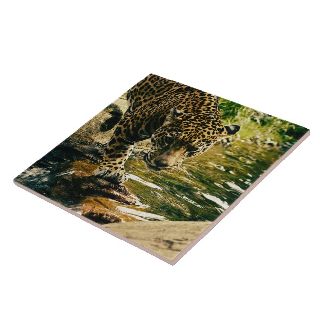 Wildlife Wildcat Animal Leopard Nature Tile (Side)