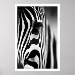 Wildlife Zebra Poster, Monochrome Stripes, Eye Poster