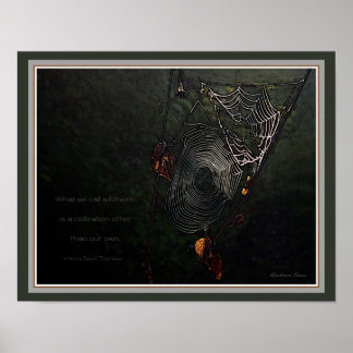 Wildness:  A civilisation other than our own Poster