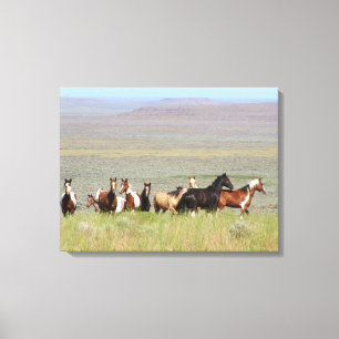 WildWest Mustangs Wrapped Canvas