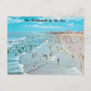 Wildwoods by the Sea, New Jersey Postcard