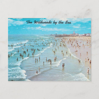 Wildwoods by the Sea, New Jersey Postcard
