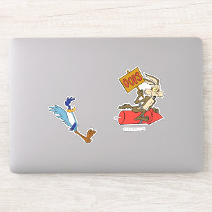 WILE E. COYOTE™ and ROAD RUNNER™ ACME Rocket