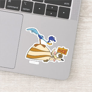 WILE E. COYOTE™ and ROAD RUNNER™ Boulder