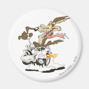 Wile E. Coyote Crazy Glance Magnet