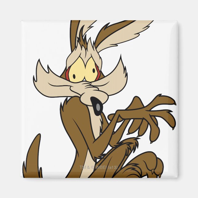 WILE E. COYOTE™ Derp Magnet (Front)