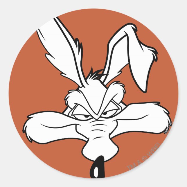 WILE E. COYOTE™ Happy Head Shot Classic Round Sticker (Front)