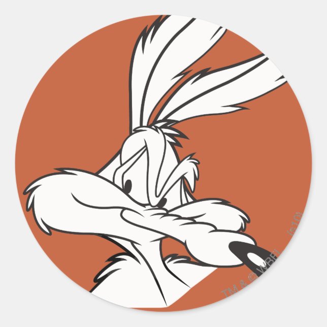 WILE E. COYOTE™ Looking sneaky Classic Round Sticker (Front)
